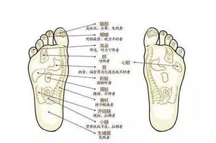 梦境中身体部位之象征：一部生肖星座风水国学解读