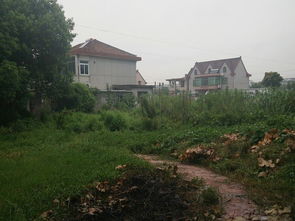 贵州省镇宁县风水宝地附近有十字路口，这样的地方适合建风水家吗？