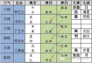 六、二十八星宿宜忌解析
