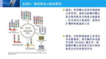 四、 沟通机制的十分沉关键性与实践策略