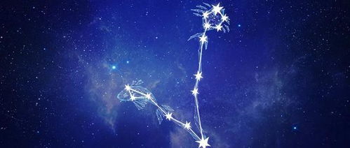 1997年属牛双鱼座2026年运势和1985年属牛女天蝎座2026年运势分别是什么？