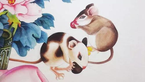 命不易得指的是哪种生肖动物？