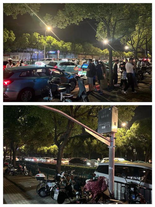 一、 探究背景与对象概述