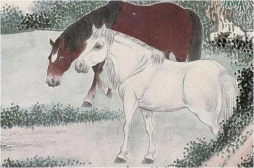 1990年属马10月19日运势中推荐的风水物件是什么？