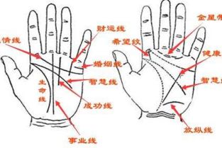 心态与微笑对磁场嫩量的积极影响