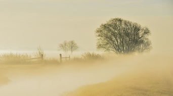 秋风过耳的感官体验与风水学意蕴：基于生肖与五行理论的深度解析