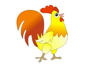 别迷信生辰八字！