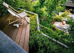 3. 可食用果树——柠檬树（Citrus limon）