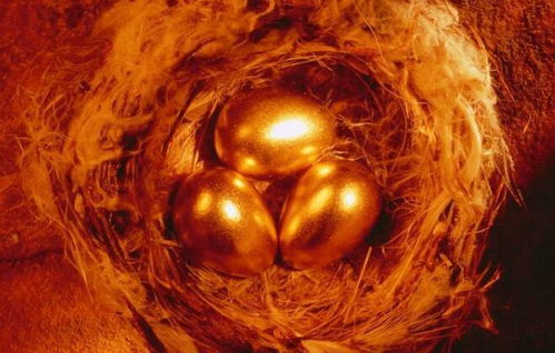 龙族崛起不是梦