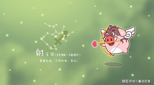 火象星座の人格分裂现场