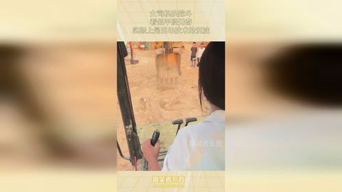 二、  历史维度的审美转向：错采镂金与初发芙蓉