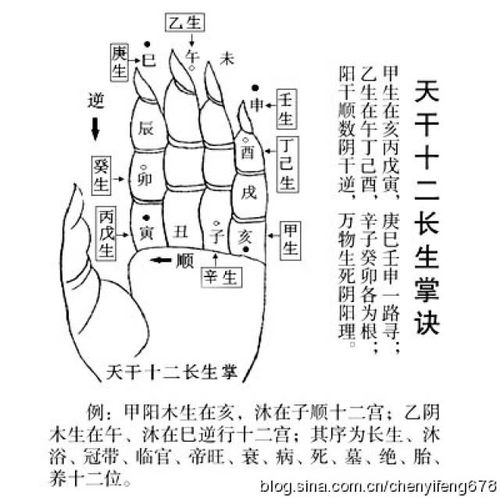 如何系统地学习并掌握风水学的基础知识？