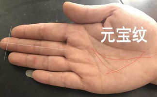 手心金三角和元宝纹，这是否意味着有钱人的手相特征？