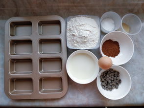 一、 生肖与风水之关联性概述