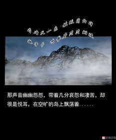 第二节：凄厉哀鸣撕裂夜寂