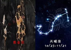 哪个星座最具杀气？十二星座杀气排行榜揭晓！