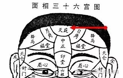 禄学堂：额头与智商