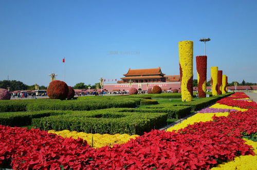 住宿体验：花钱买罪受的极致体现