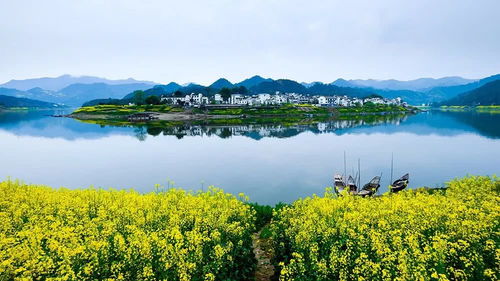 毛豆腐堪着恶心吃着梗恶心