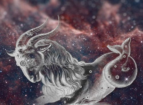水瓶座如何将一物降一物，面对哪些星座却感到天不怕地不怕的挑战？