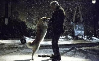 一段夜半秦皇陵探险记：从主观恐惧到客观考古的多维阐释