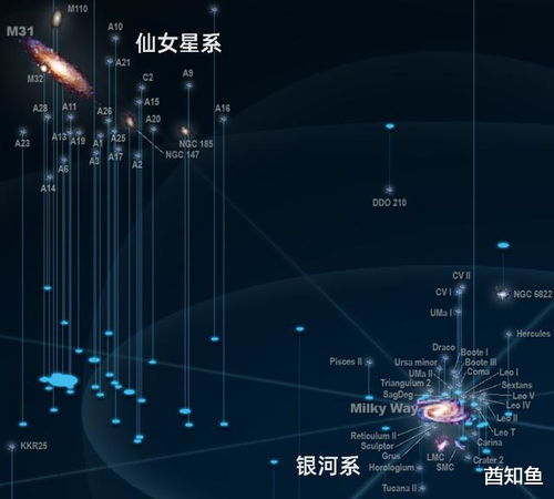性别分布与社会认知趋势