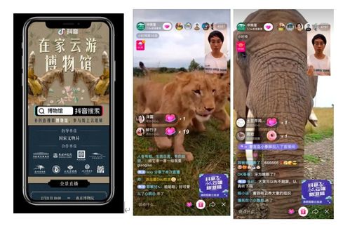 4.1 吉祥数字的应用