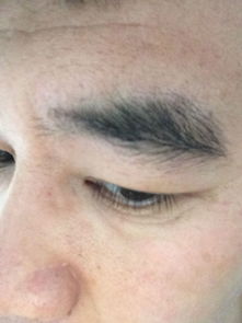 形态特征的深度解析