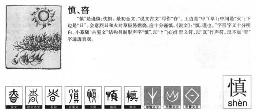 再唠唠“光”——这字儿看着亮堂,实则暗藏玄机