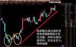 典型图形案例解析