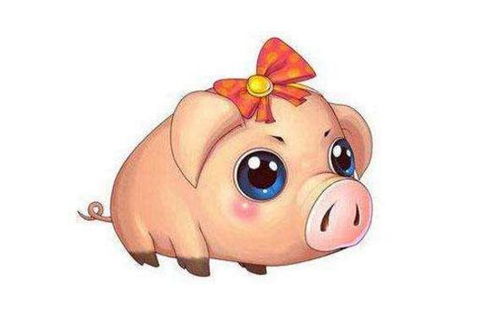 2018年猪年今日运势具体内容是什么？生肖猪的运势如何？