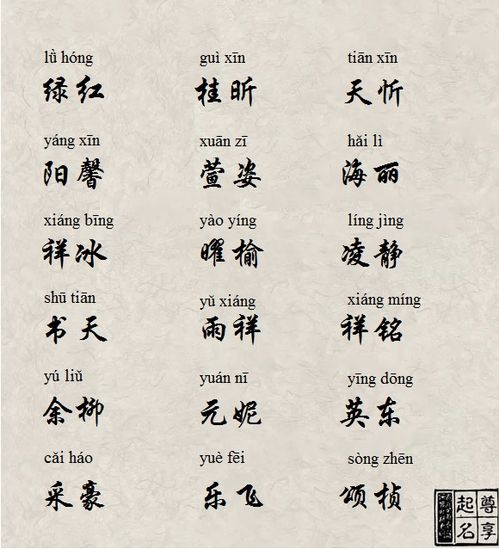 二、 智慧与个性的碰撞