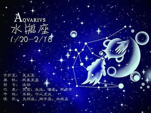 水瓶座与哪个星座最匹配，成为最佳朋友伴侣？