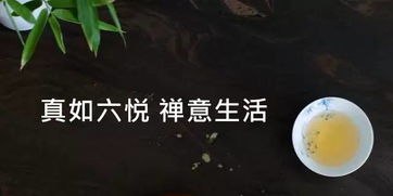 三、  禅意与生活美学：静心内涵的深度升华