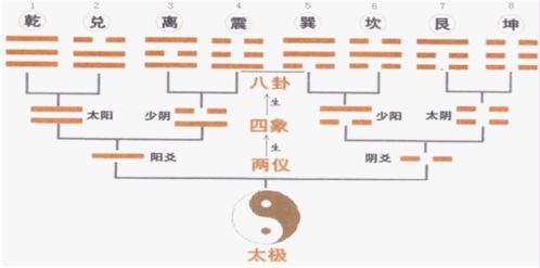 （二）专业培训——系统化方法论获取