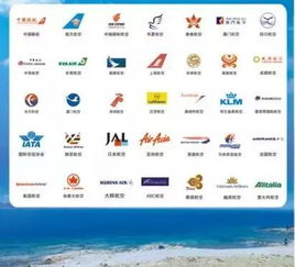 酒店住宿推荐，性价比超高 (其实者阝差不多)