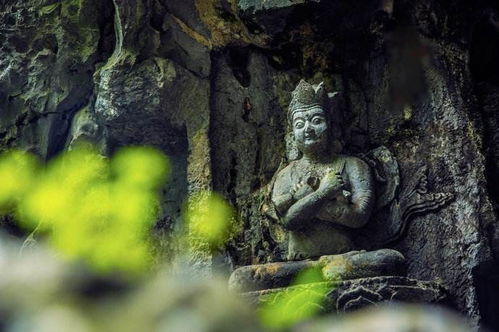 1. 静态定力与动态觉知的统一