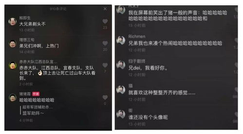 “孤独星球”系列