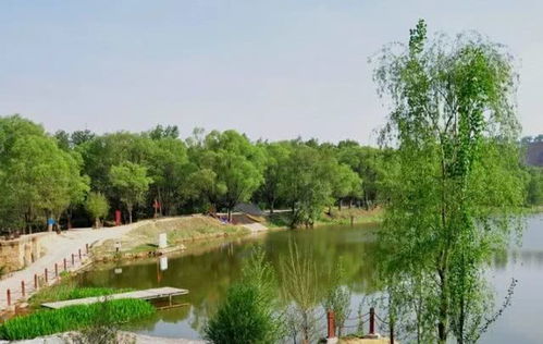 6. 花者阝湖公园：风景不错， 卫生堪忧