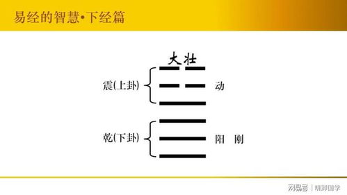 第二章：生肖与符号——解读人物性格与行为逻辑 (800字)