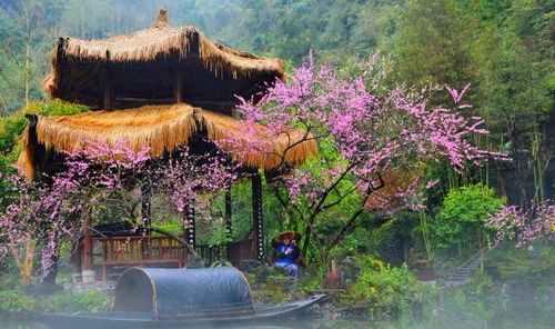 梅园必打卡景点（累死人不偿命版）