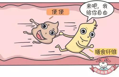 当代人类迷惑梦境大赏