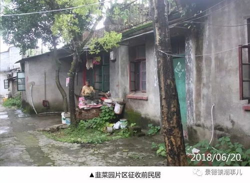 长沙风水大师杨明德：住宅改运的神秘力量