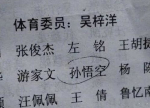 3. 火土组合：生命循环之律