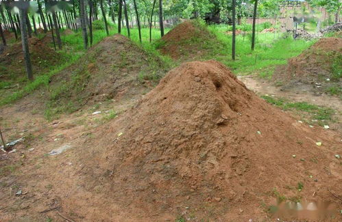 案例分析：福贵格局墓地的实例