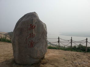 1. 孤柏渡飞黄：名字听着挺玄乎