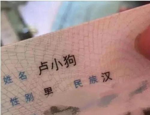 杨姓如何取一个霸气且带杨字的名字呢？