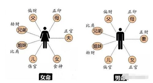 八字中首位为正官，究竟预示着怎样的吉凶命运？