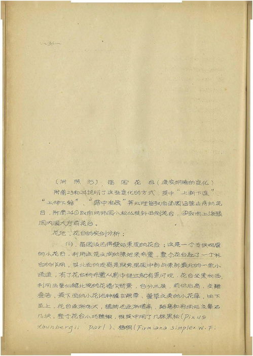 ：玄术的学术界定与自学路径的可行性探究