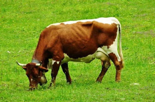 事业运：开挂人生不需要解释！